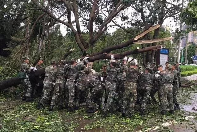 天鸽台风最新动态，风雨同舟，共筑平安家园！