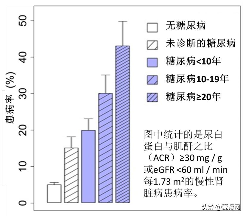 肾病治疗新进展