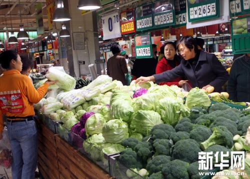 焕彩红花镇——新鲜蔬菜批量直销，尽享田园批发盛宴