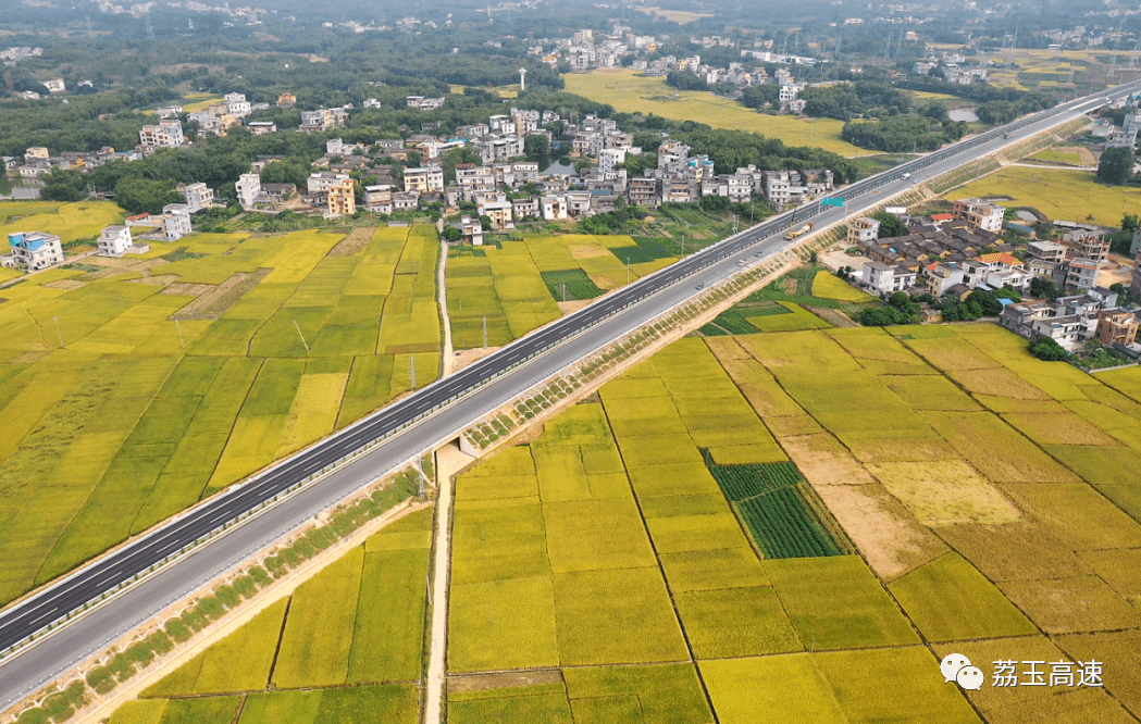 荔玉高速公路建设进展实时动态一览