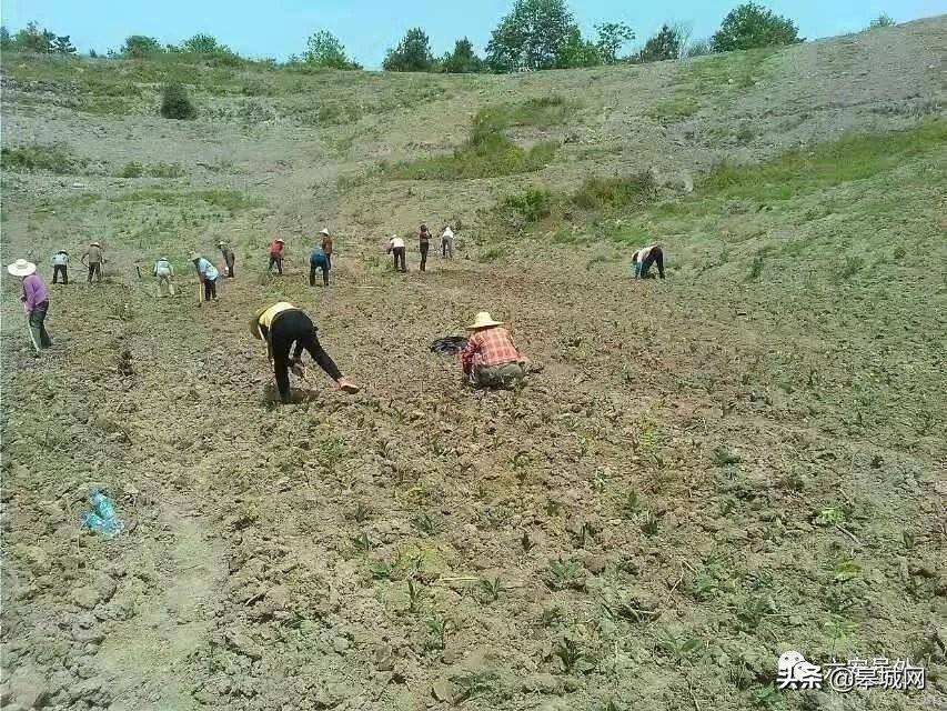 乡村爱情故事第九季：续写田园情深，再现乡村新篇